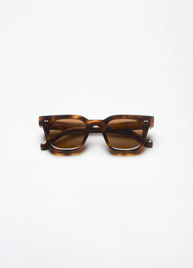 04 TORTOISE